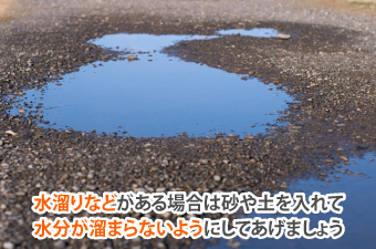 水溜りなどがある場合は砂や土を入れて 水分が溜まらないようにしてあげましょう