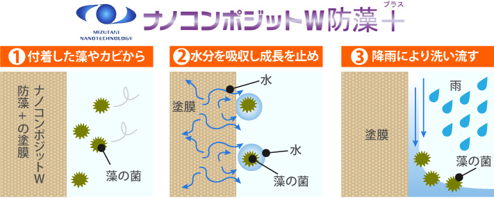 付着した藻やカビから→水分を吸収し成長を止め→降雨により洗い流す