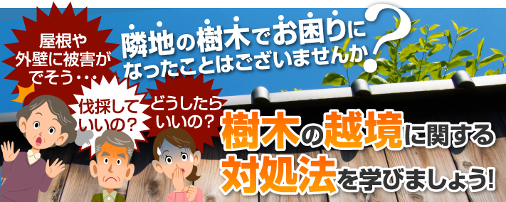 樹木の越境に関する対処法