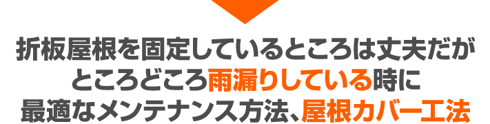 折板屋根を固定しているところは丈夫だが、ところどころ雨漏りしている時に最適なメンテナンス方法、屋根カバー工法