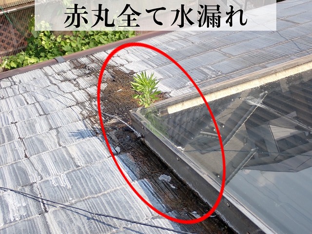 温水器から漏れた水