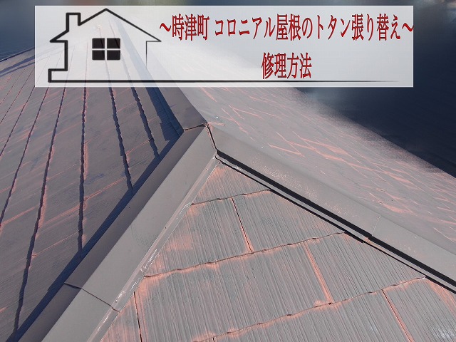 西彼杵郡時津町 コロニアル屋根のトタン張替え工事をご紹介！腐食した木材も交換【修理方法】