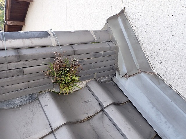 【長崎市】屋根のメンテナンスされてますか？屋根の維持保つことでお住いの安全性を手にいれることができますよ！