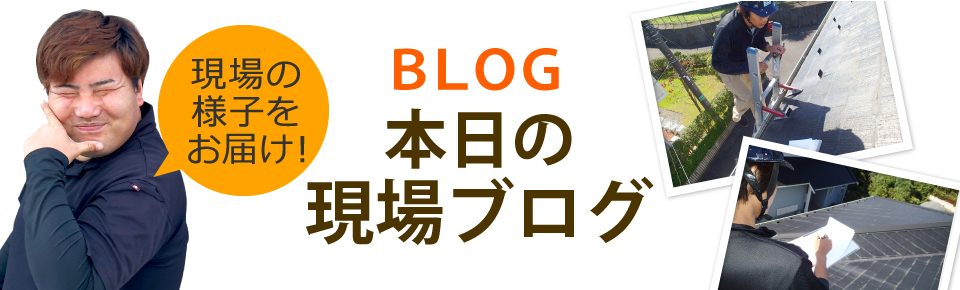 長崎市、諫早市、西彼杵郡エリア、その他地域のブログ