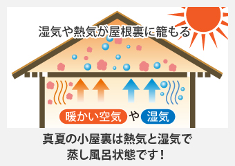 真夏の小屋裏は熱気と湿気で蒸し風呂状態です！