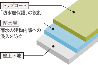 密着工法は、屋上下地の上に雨水の建物内部の浸入を防ぐ防水層があり、その防水層を保護する役割のトップコートが施工されています